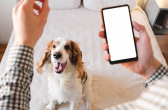 35 Top Pet Influencers You Can Follow Today (with Social Media Links)