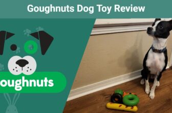 Goughnuts Dog Toy Review 2023: Is It a Good Value?
