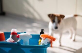 Signs Of Poisoning In Pets (And What To Do About It)