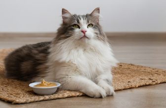 Can Cats Eat Peanut Butter? Safety Tips & Warnings